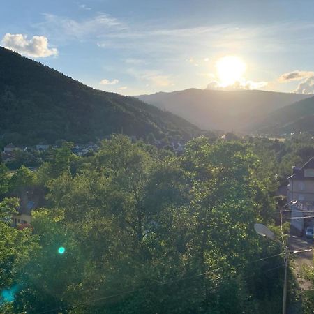 Au Reposoir - Vue Sur La Montagne Apartment Buhl ภายนอก รูปภาพ